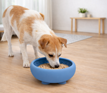 aba1b50545ea8150e4a78d2a2288a0b4 aba1b50545ea8150e4a78d2a2288a0b4